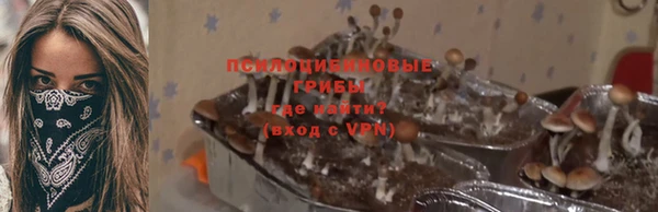 дмт Ладушкин