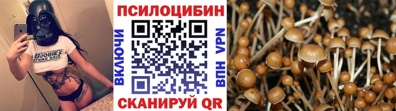 Галлюциногенные грибы MAGIC MUSHROOMS где купить наркотик Лагань